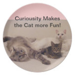 curious cats plate
