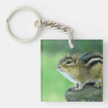 Curious Chipmunk  Acrylic Keychain