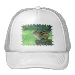 Curious Chipmunk  Baseball Hats