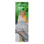 Curious Chipmunk Business Card Template