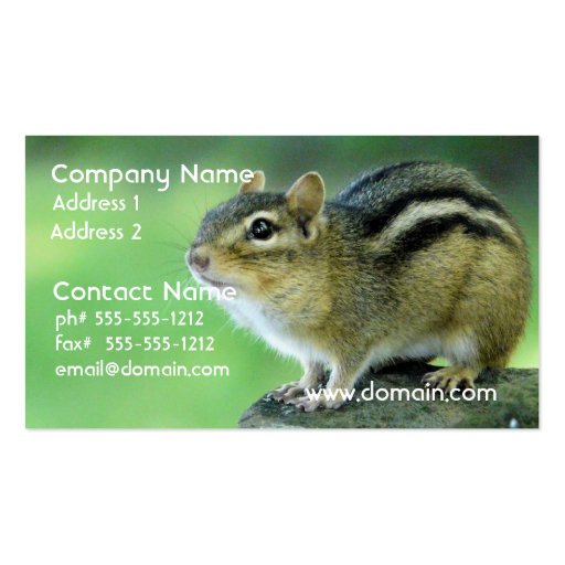 Curious Chipmunk  Business Cards (front side)
