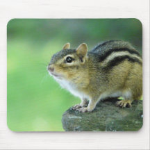 Curious Chipmunk  Mouse Pad