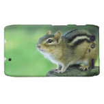 Curious Chipmunk Phone Case Motorola Droid RAZR Cases