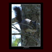 "CURIOUS" Chipmunk Photo Poster II posters by RavenSpiritPrints "CURIOUS" Chipmunk Photo Poster II posters
