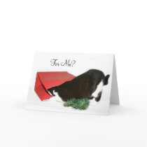 Curious Christmas cat cards