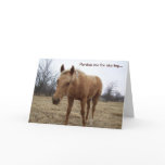 Curious Colt - Birthday Card
