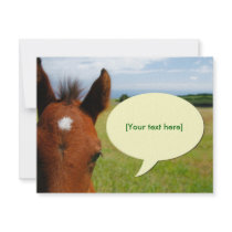 Curious colt with talk bubble invitations by gavila_pt Curious colt with talk bubble invitations