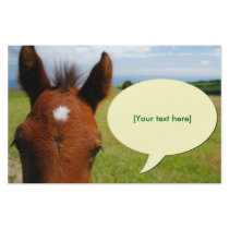 Curious colt with talk bubble stationery by gavila_pt Curious colt with talk bubble stationery