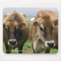 Curious cows mousepads