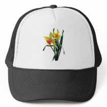 Curious Daffodils hats