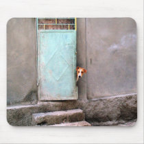 Curious Doggy mousepads