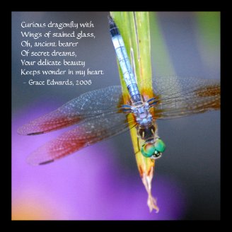 Curious Dragonfly Poem - poster / print