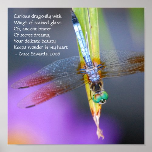 Curious Dragonfly Poem - poster / print print