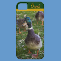 Curious Duck iPhone 5 Casemate Case casemate cases