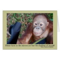 Curious Face in the Mirror cards by Rebecca_Reeder Curious Face in the Mirror cards