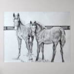 Curious Foals posters