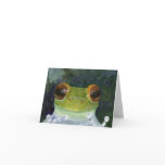 Curious Frog Art Notecards