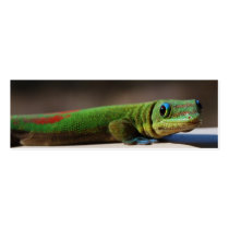 Curious Gecko bookmark business cards by Rebecca_Reeder Curious Gecko bookmark business cards