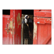 Curious Goat Greeting Card