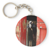 Curious Goat Keychain