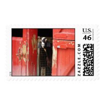 Curious Goat Postage Stamp
