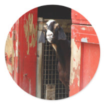 Curious Goat Stickers