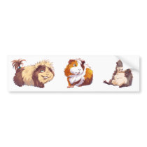 Curious Guinea Pig bumper stickers by Fany001 Curious Guinea Pig bumper stickers