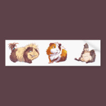 Curious Guinea Pig bumper stickers