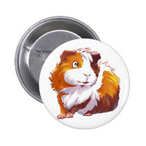 Curious Guinea Pig buttons