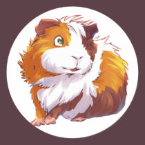 Curious Guinea Pig stickers