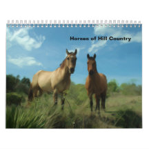 Curious Horses, Horses of Hill Country Calendar