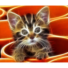 Curious Kitten mousepad