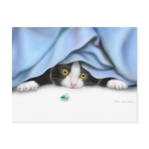 Curious Kitten Postcard