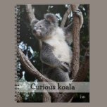curious koala notebooks