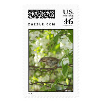 Curious Little One postage