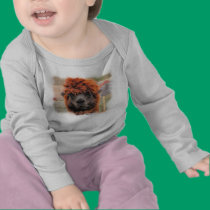 Curious Llama ~ Baby T t-shirts