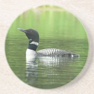 Curious Loon Coaster coaster