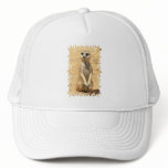 Curious Meerkat Baseball Cap hats