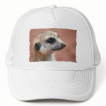 Curious Meerkat Baseball Cap hats