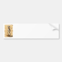 Curious Meerkat Bumper Sticker