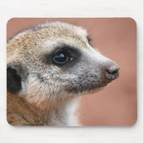 Curious Meerkat Mouse Pad