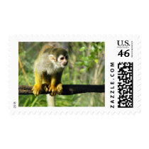Curious Monkey Template postage