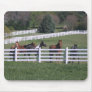 Curious "Neigh"bors Mouse Mat