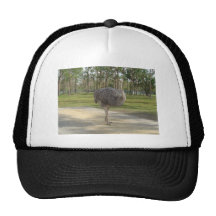 Curious Ostriche Mesh Hats