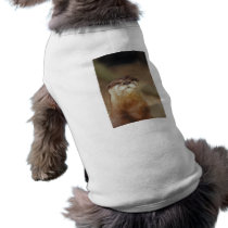 Curious Otter Dog T Shirt