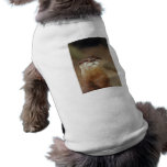 Curious Otter Dog T Shirt