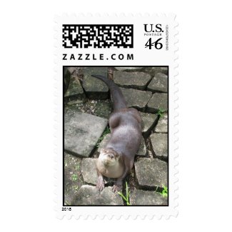 Curious Otter stamp