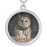 Curious Owl Necklace necklaces