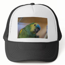 Curious Parrot Mesh Hat