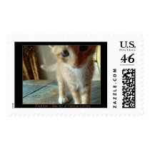 Curious postage by kittytrishia Curious postage